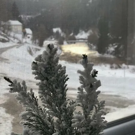 Riverside * Ramingstein