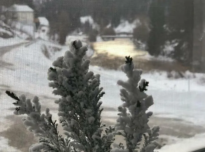 Riverside * Ramingstein